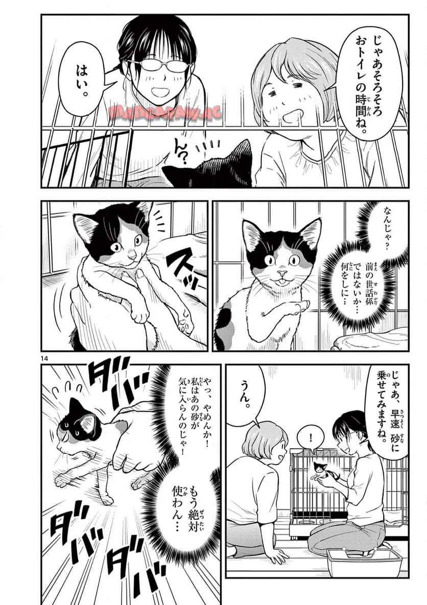猫降臨 - raw - 第3話 - https://jppp.mangajikan.cc/jppp/06060909/0jgks1fmhmv.jpg