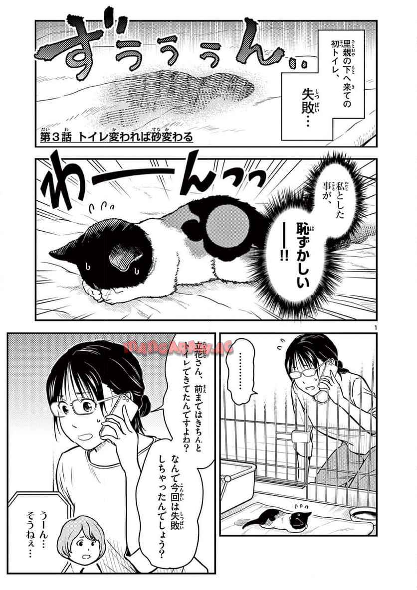 猫降臨 - raw - 第3話 - https://jppp.mangajikan.cc/jppp/06060909/se51t23tkwo.jpg