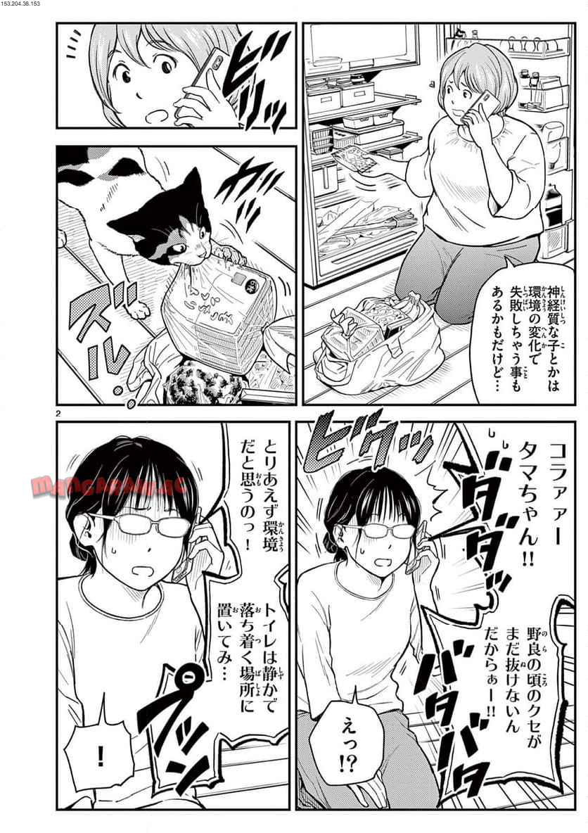 猫降臨 - raw - 第3話 - https://jppp.mangajikan.cc/jppp/06060909/yunf0x3cy2k.jpg