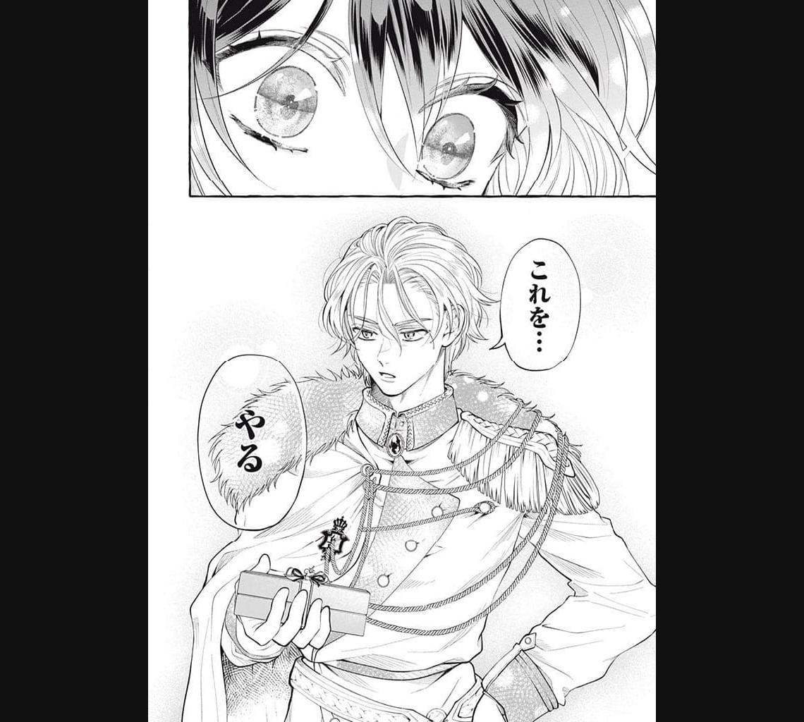 王太子様、私今度こそあなたに殺されたくないんです〜聖女に嵌められた貧乏令嬢、二度目は串刺し回避します！〜 第29.3話 - Page 3