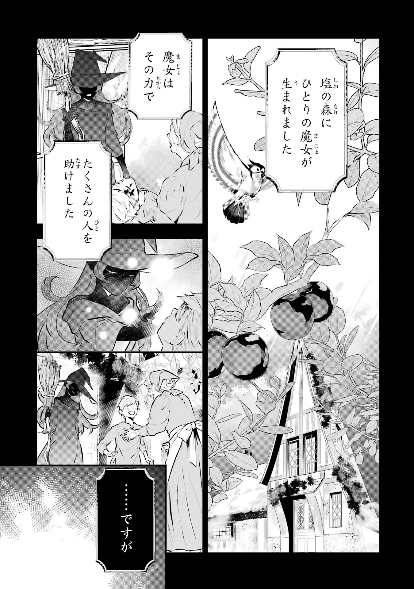 メイデーア転生物語 この世界で一番悪い魔女 第20話 - Page 17