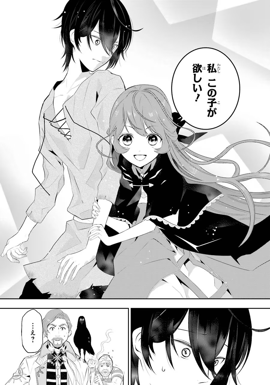 メイデーア転生物語 この世界で一番悪い魔女 第1話 - Page 48