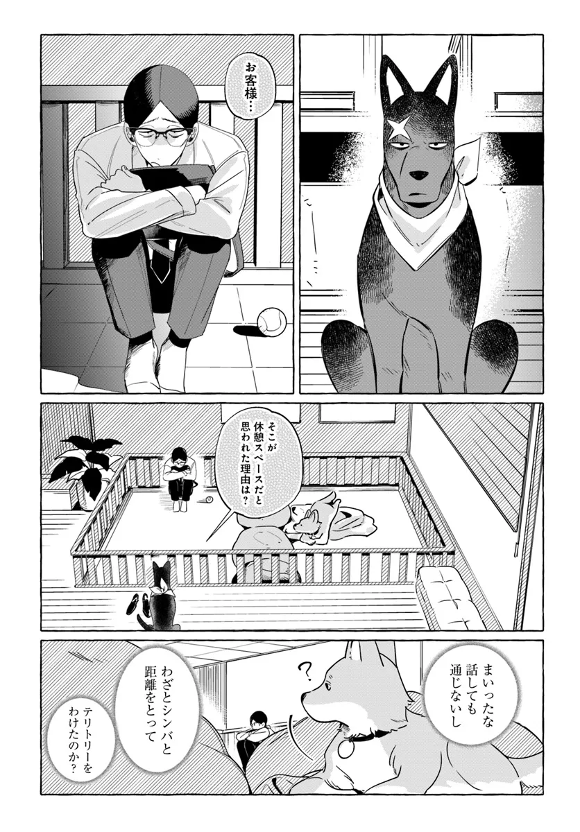 9.jpg