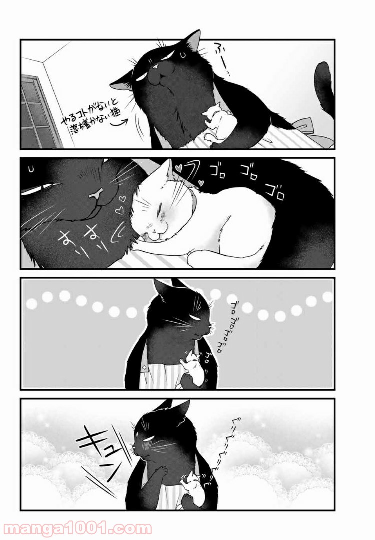 デキる猫は今日も憂鬱 - raw - 第26話 - https://jppp.mangajikan.cc/jppp/06081128/hrobh3atqeu.jpg