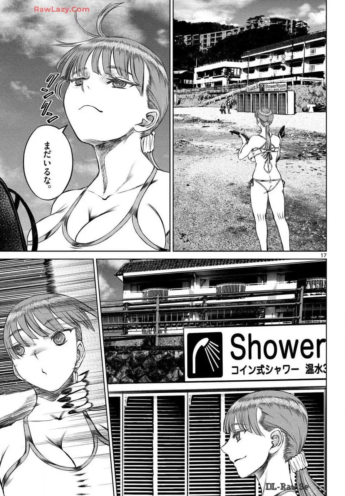 17.jpg