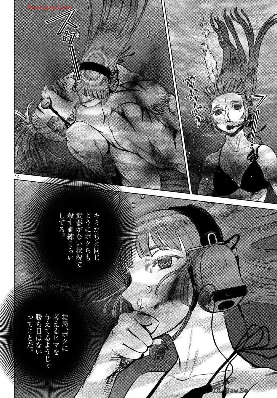 14.jpg