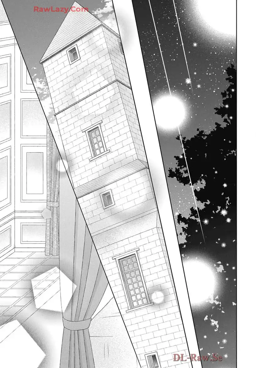 帝国の恋嫁 第28話 - Page 25