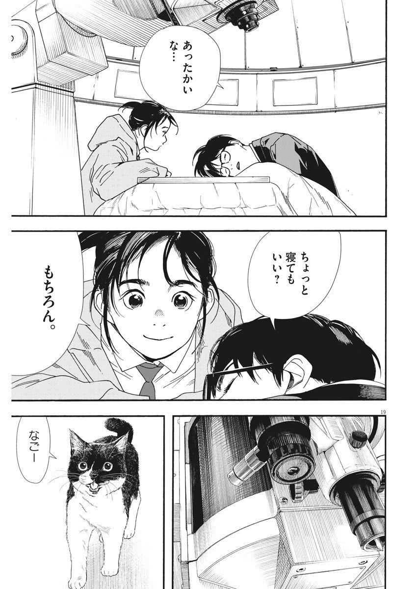 19