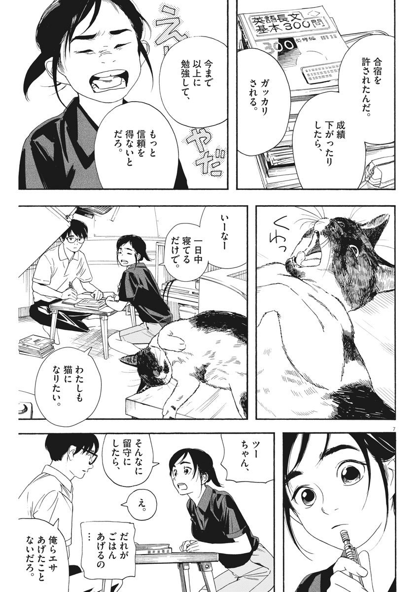 7