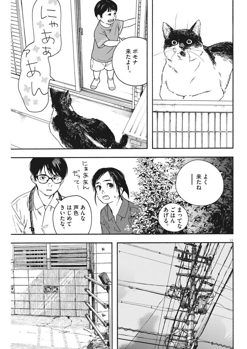 13