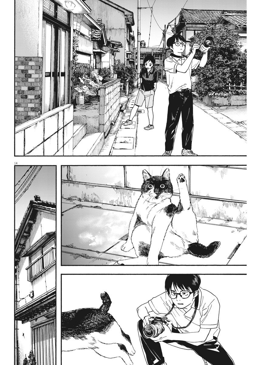 14