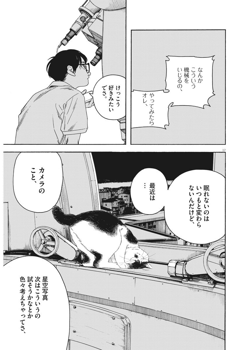 17