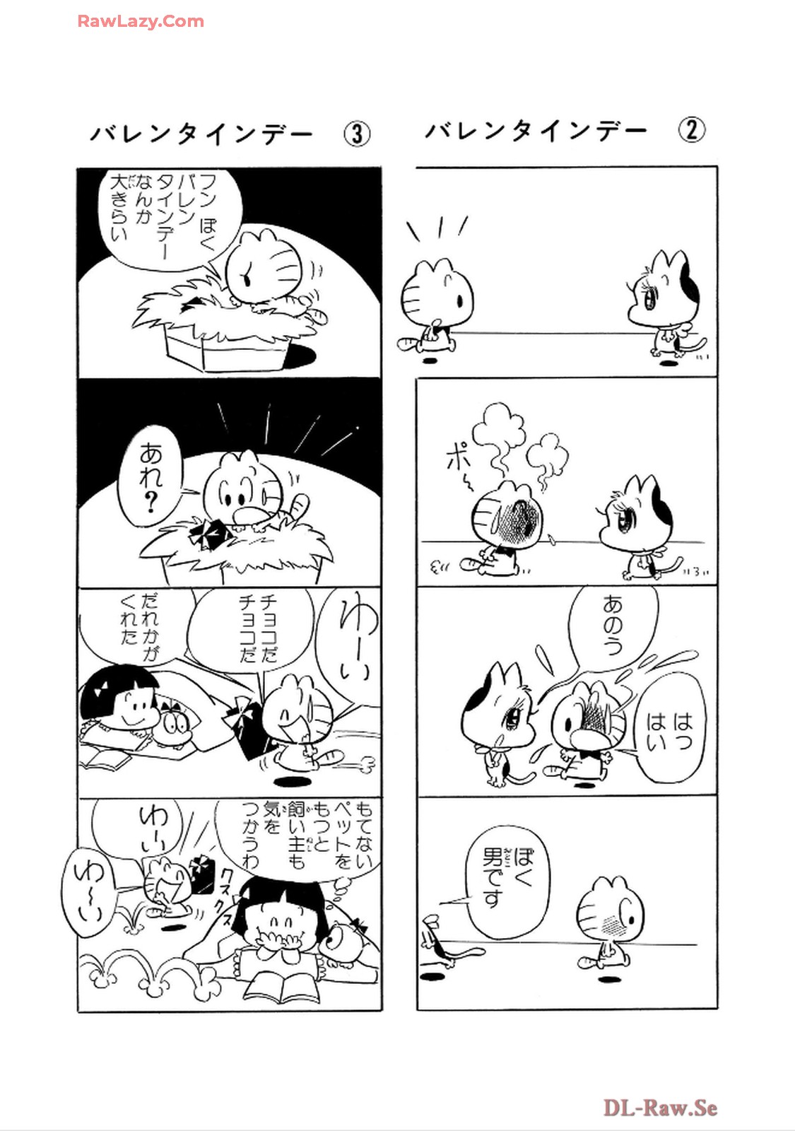 19.jpg