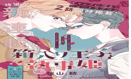 箱入り王子と執事姫
