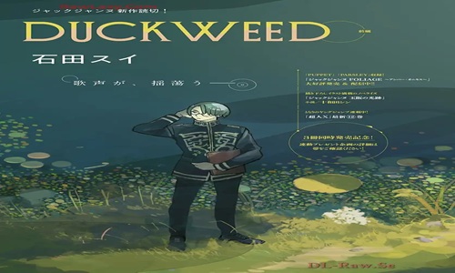 DUCKWEED